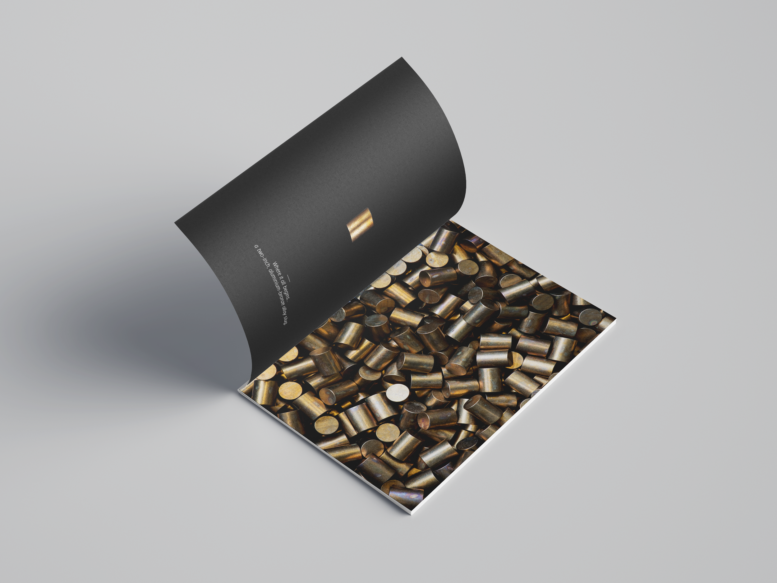 Free_A4_Brochure_Mockup_06.png