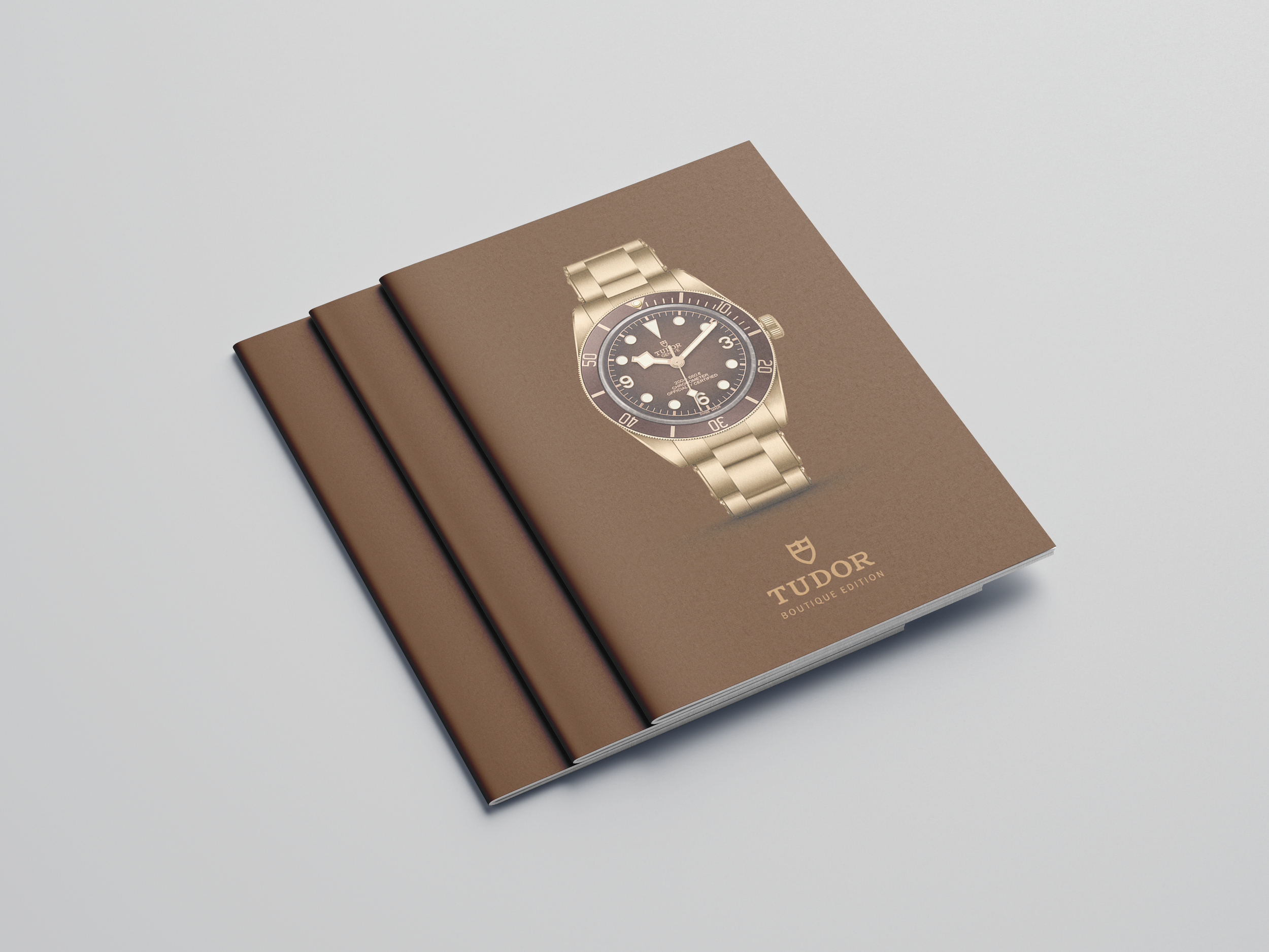 Free_A4_Brochure_Mockup_02.png