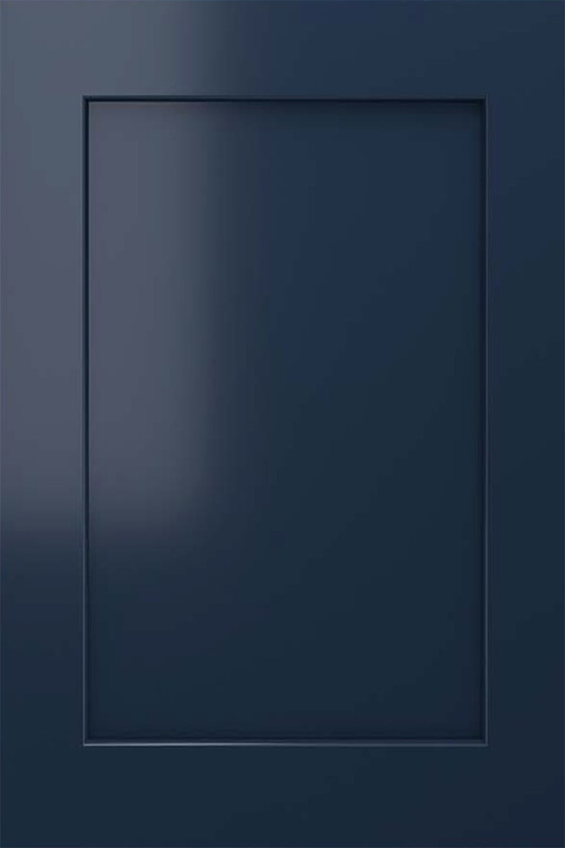 Blue Single shaker_Single Panel.png