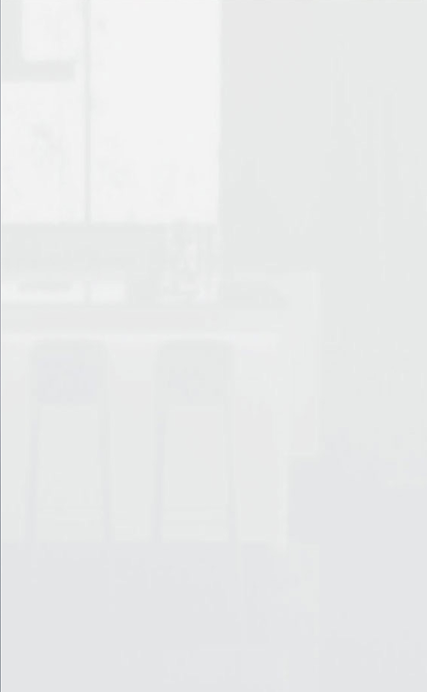 White high gloss_Single Panel.png