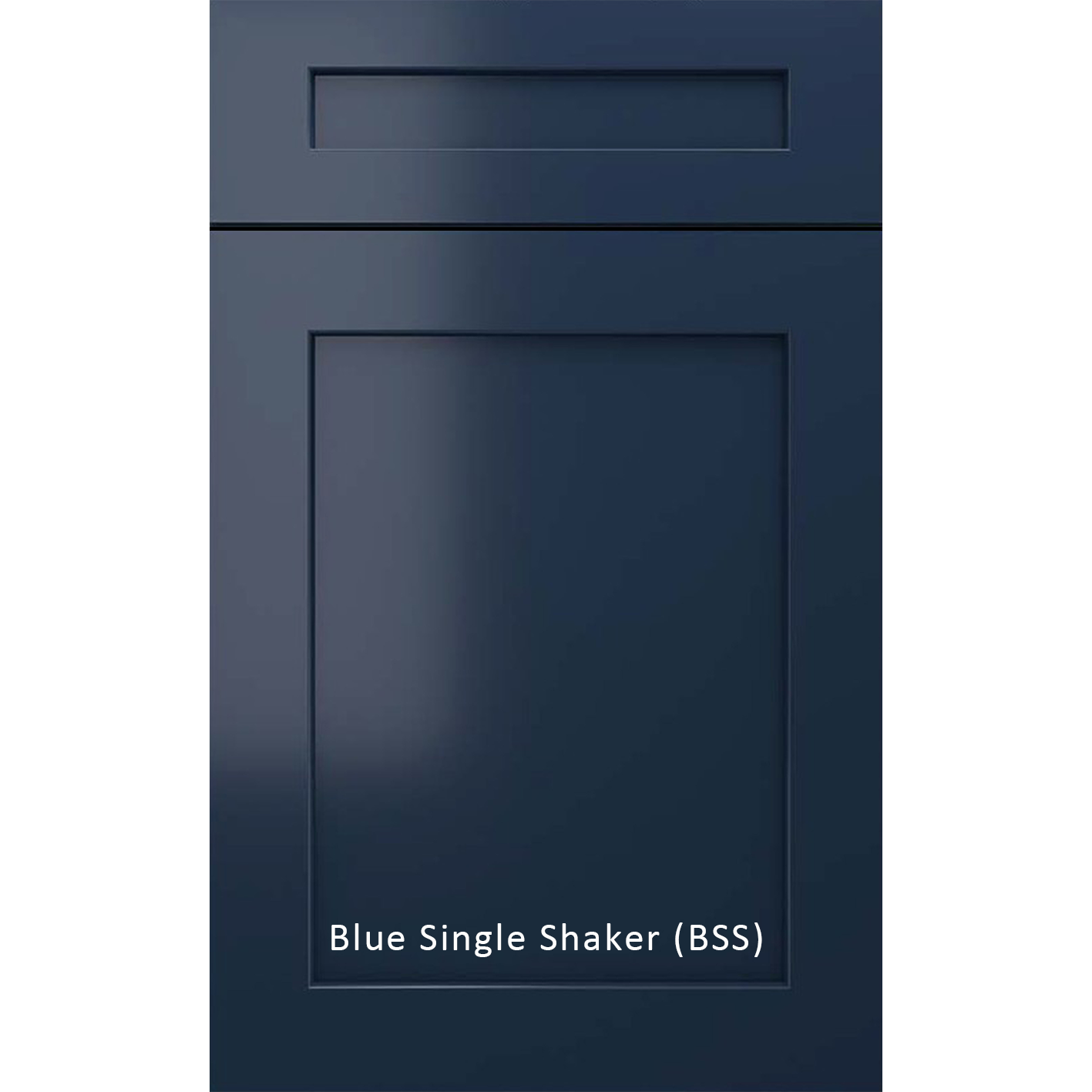 Blue Single shaker.png (Copy) (Copy)
