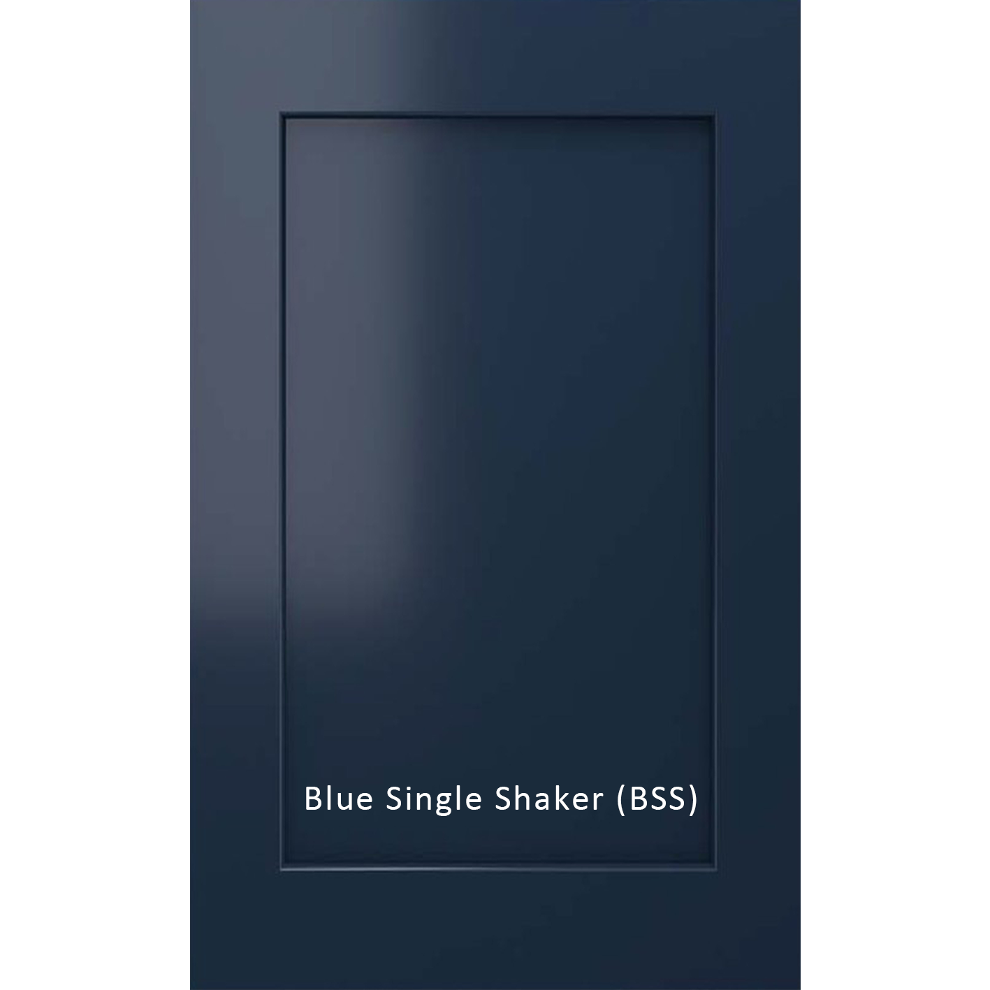 Blue Single shaker_Single Panel.png