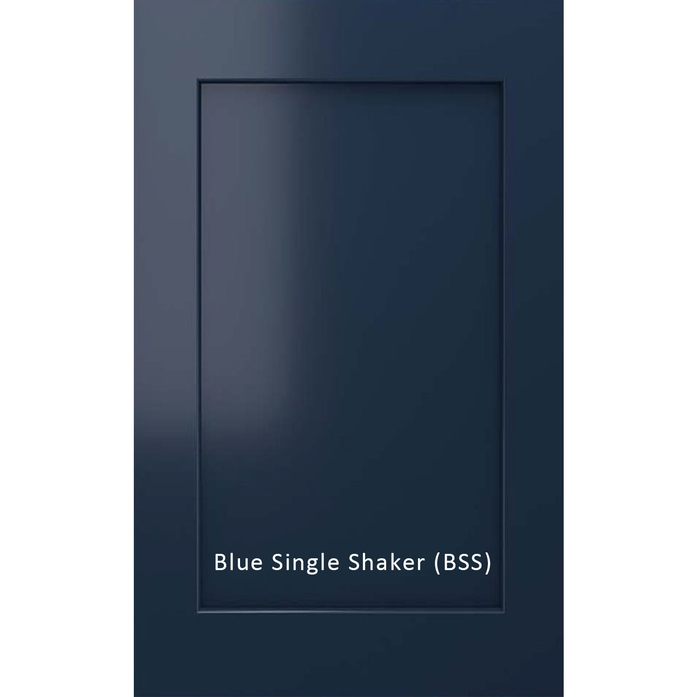 Blue Single shaker_Single Panel.png (Copy)