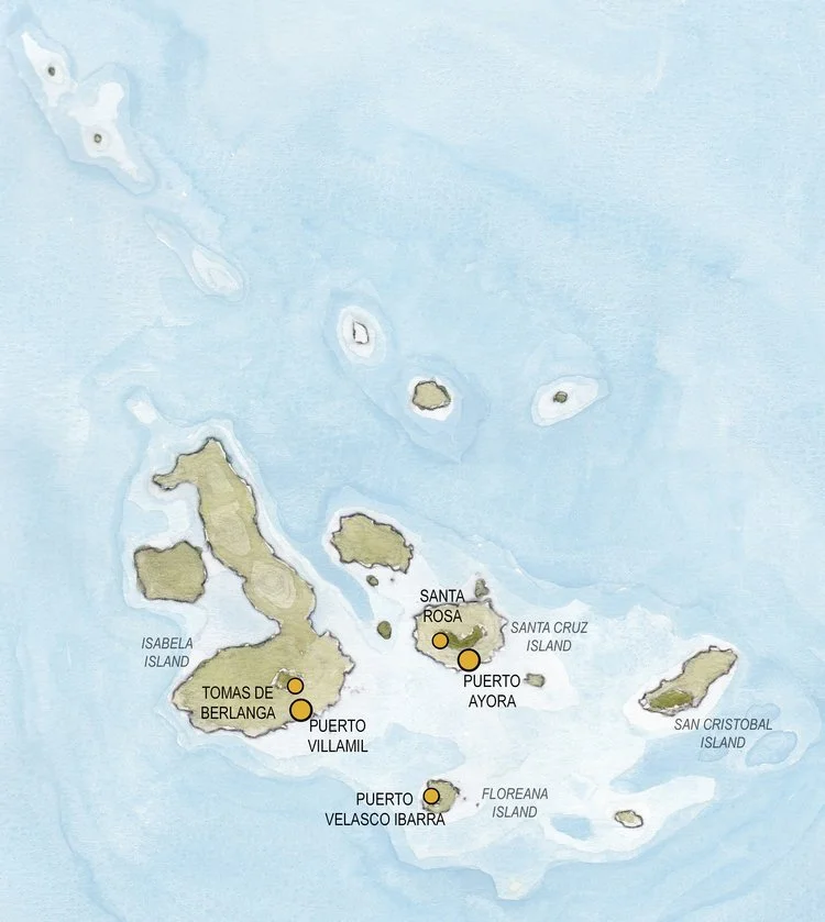 Galapagos6.jpg