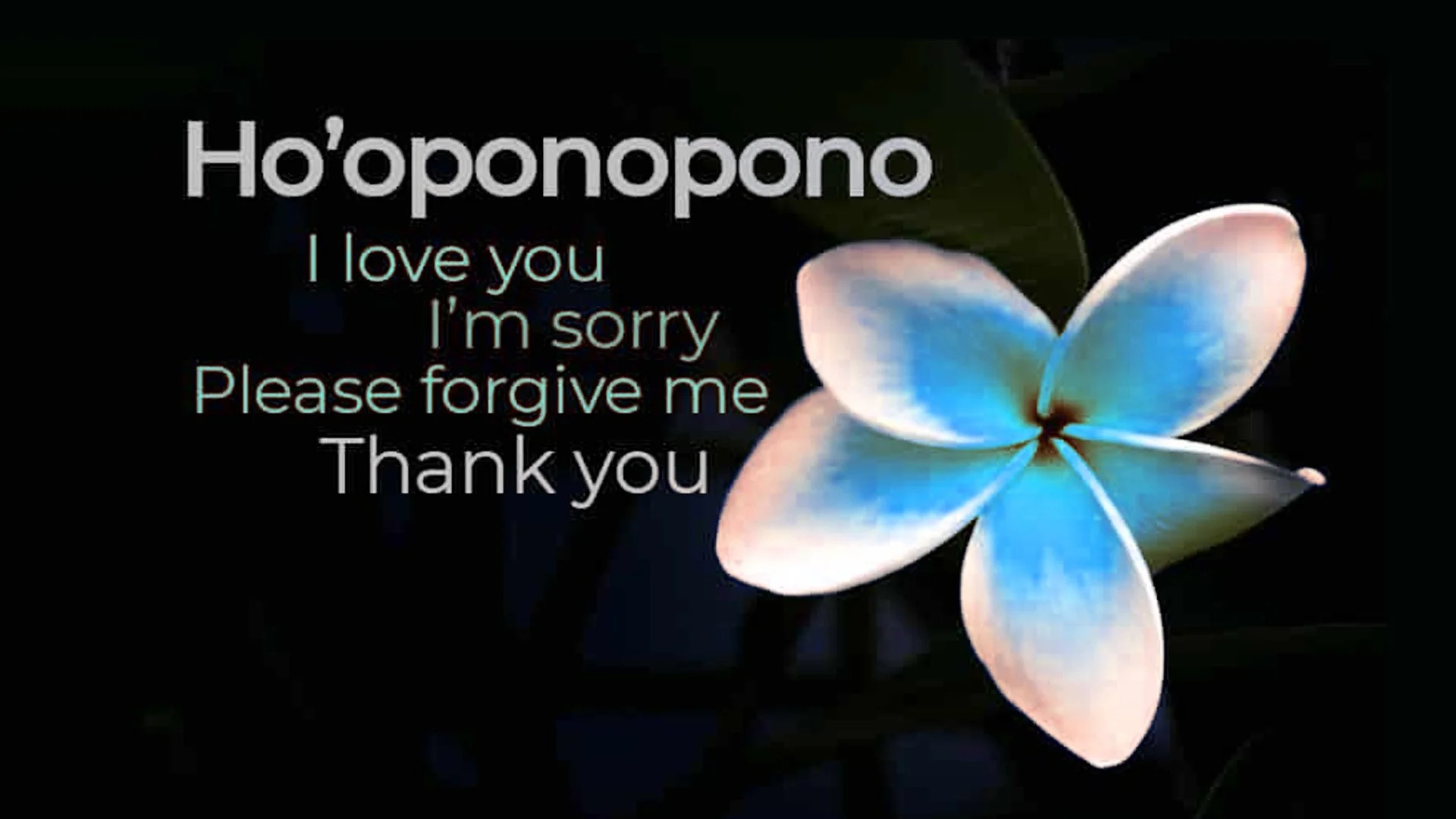 Ho'oponopono: The Ancient Hawaiian Practice of Setting Things Right