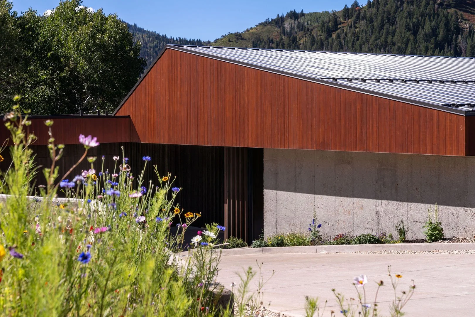 Modern hillside home with a sloped metal roof and wood cladding above a wildflower garden, Toll Canyon, Park City, Utah.