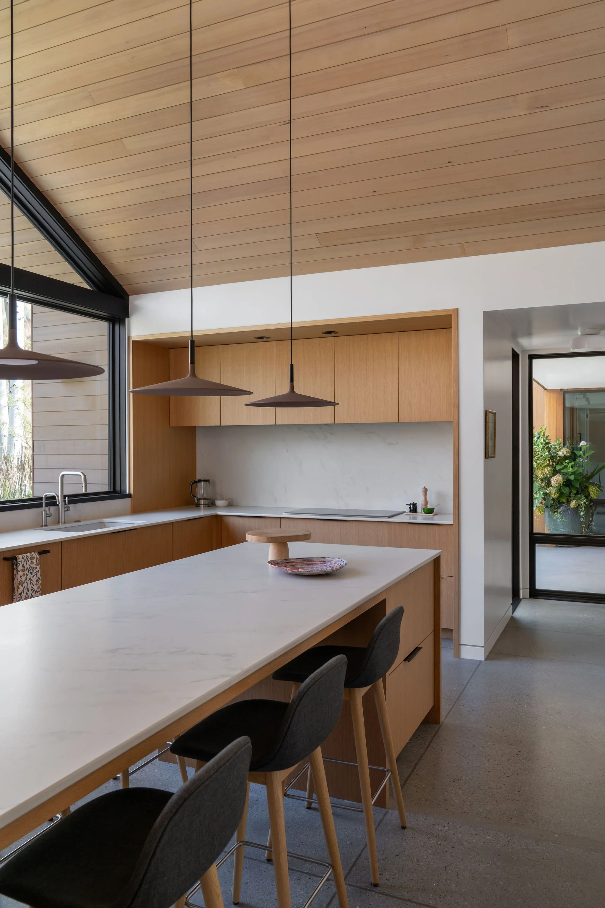 big modern kitchen with wood cabinetry in the mountains