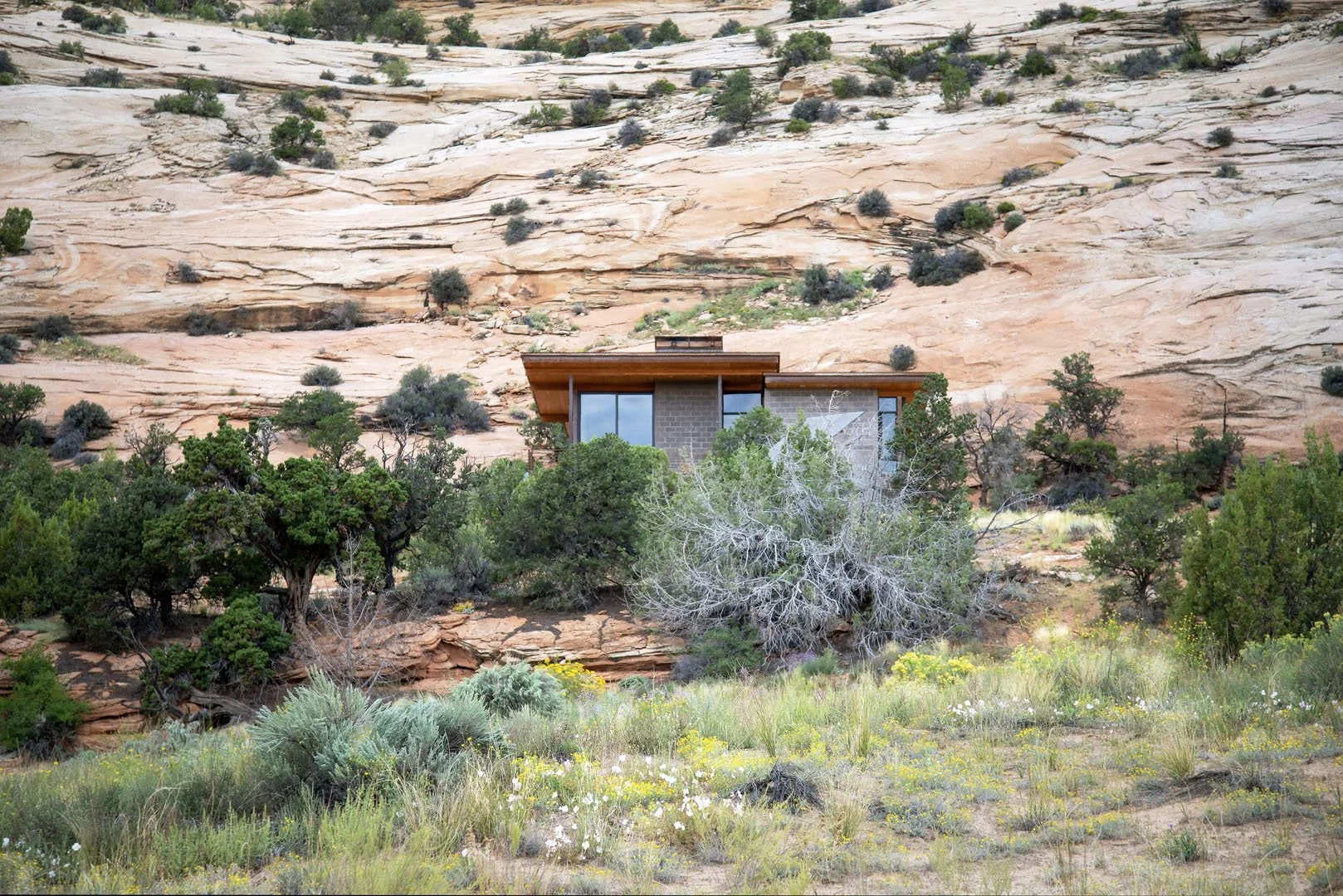 Modern home set against a red-rock slope above desert wildflowers and brush, Deer Creek, Boulder, Utah.