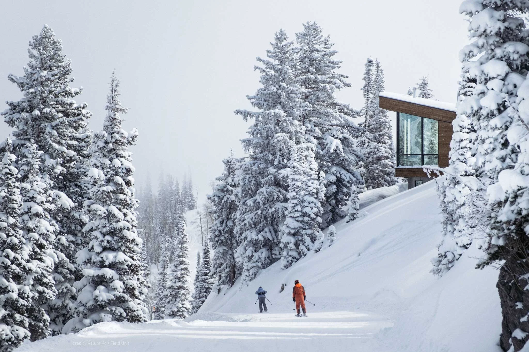 Skiers on the slope below a modern ski cabin tucked into snowy pines, Ridge Nest, Powder Mountain, Utah.