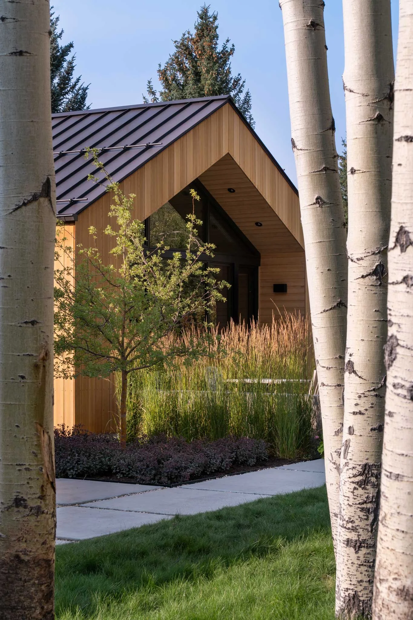 landscape garden against contemporary home