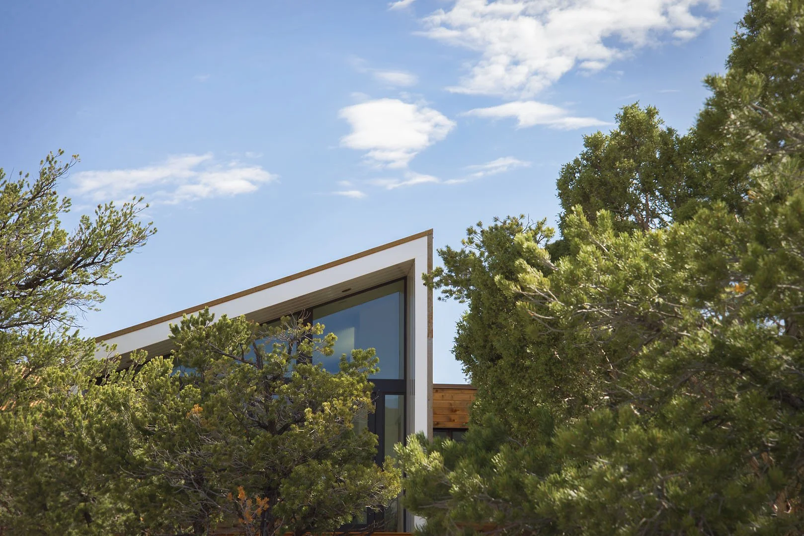 Corner of a modern desert home with a cantilevered roof framed by pines, Capitol Reef, Torrey, Utah.