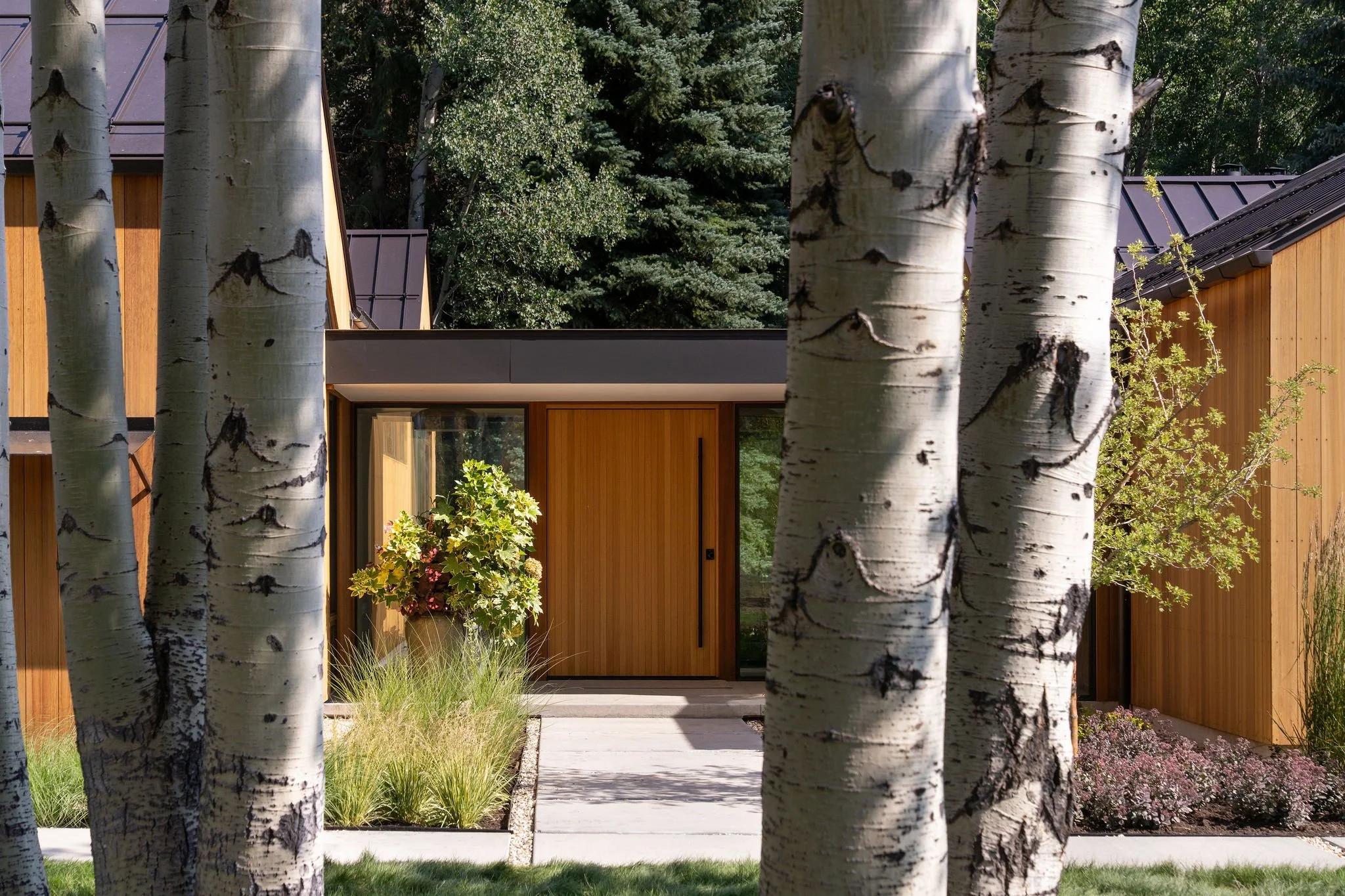 wood front door to a modern home