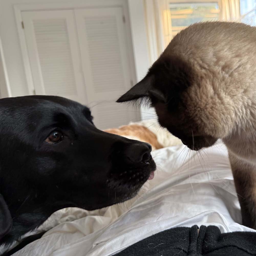 Henry and Eddie