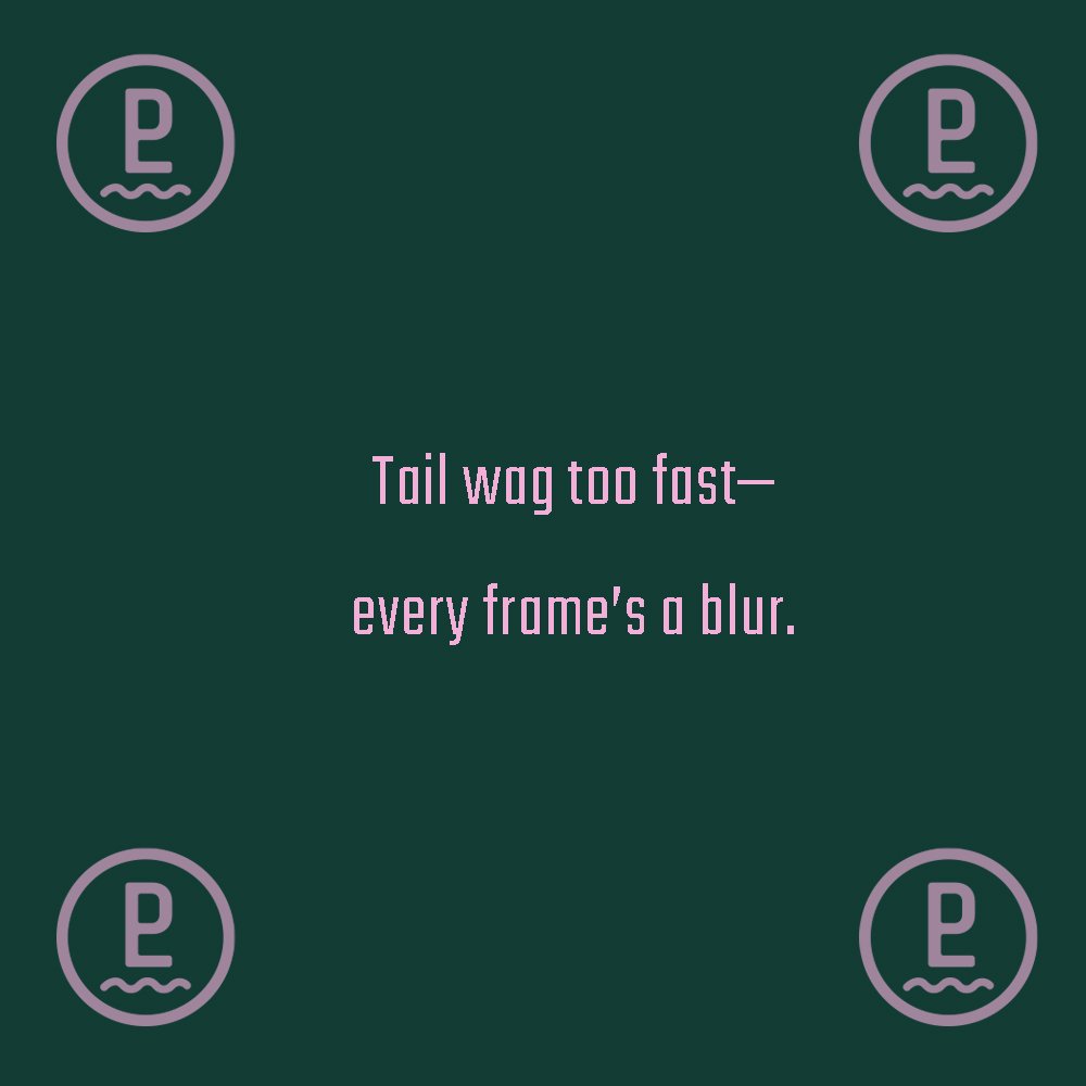 client-gallery-card-007.jpg