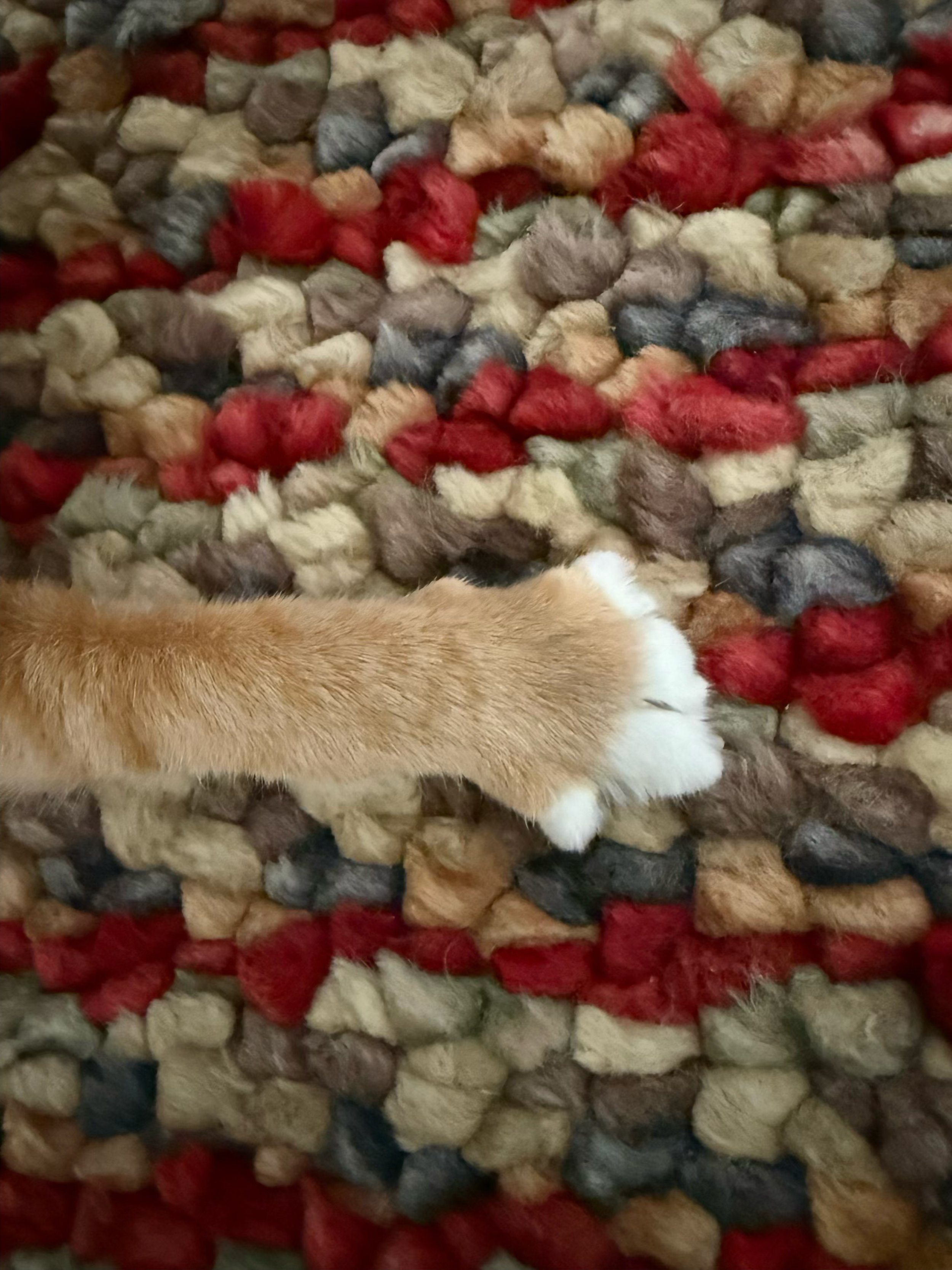 Jasper's thumb up