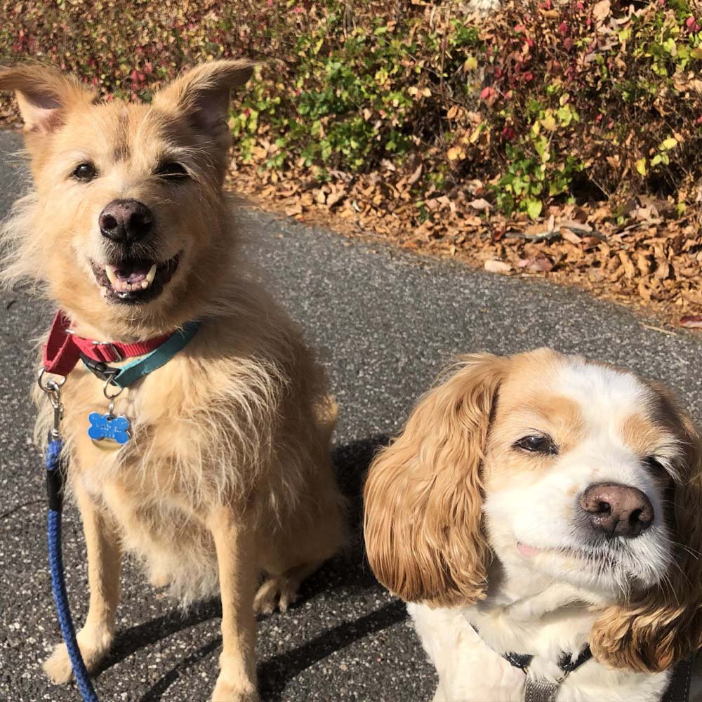 Scruffy and Izzi