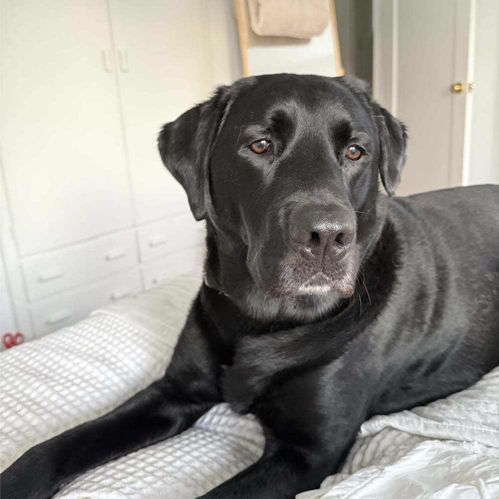 Good morning Henry!