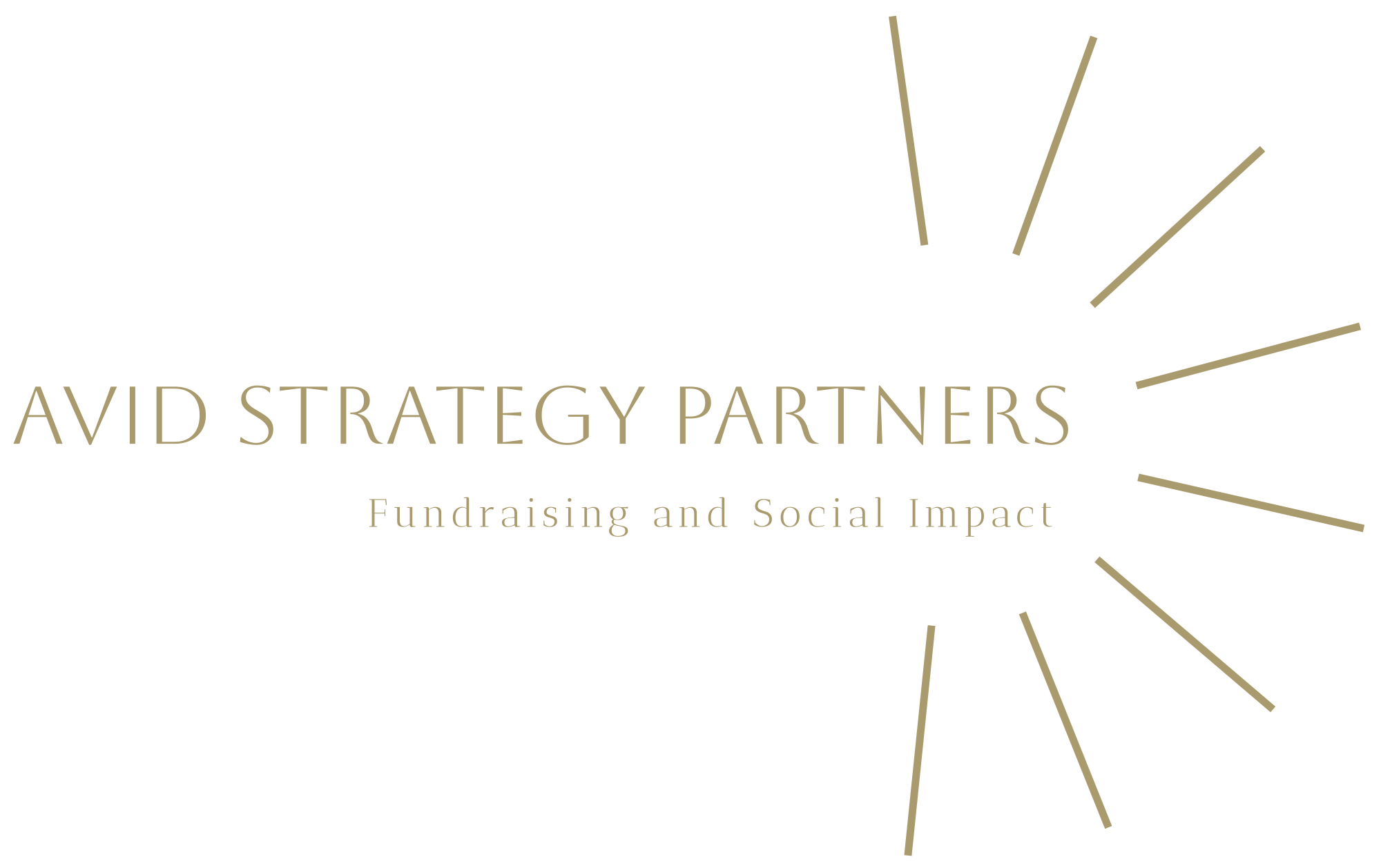 Avid Strategy Partners | Enhance Impact Now