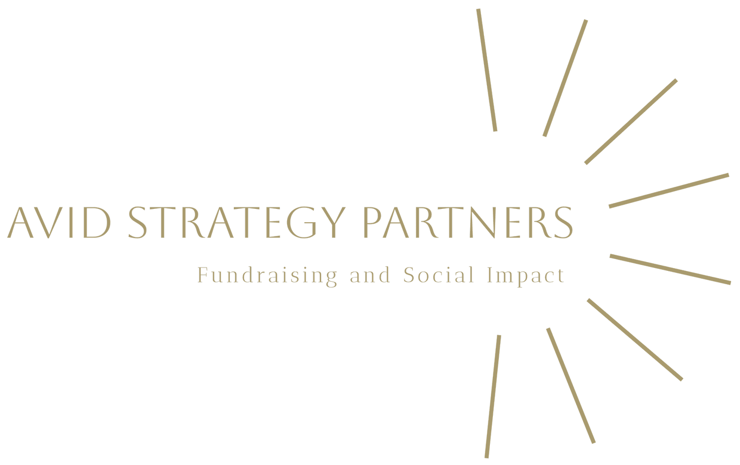 Avid Strategy Partners | Enhance Impact Now