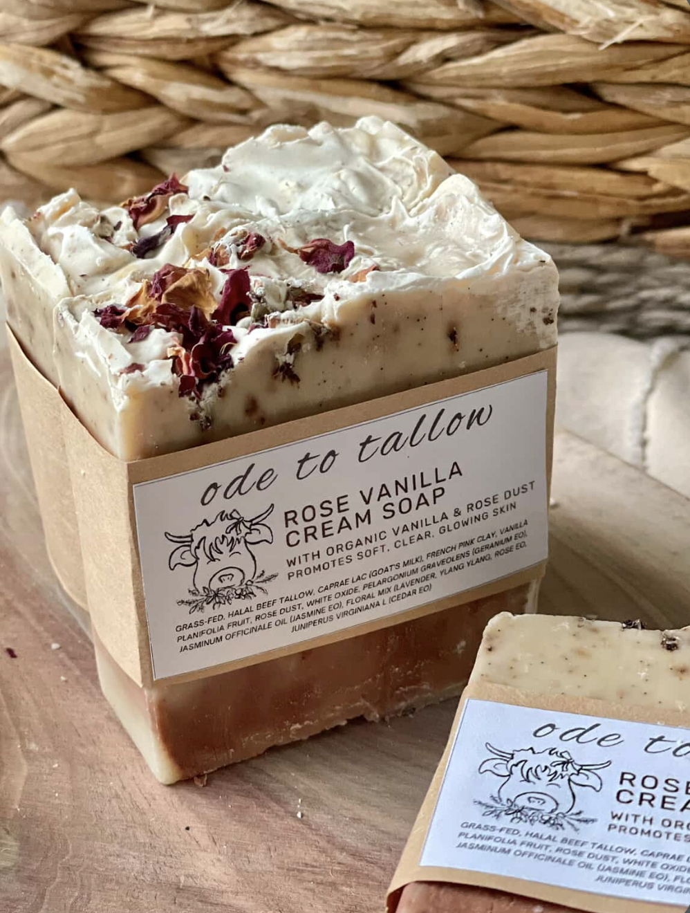 Screen Shot 2026-01-20 at 7.25.14 PM.png