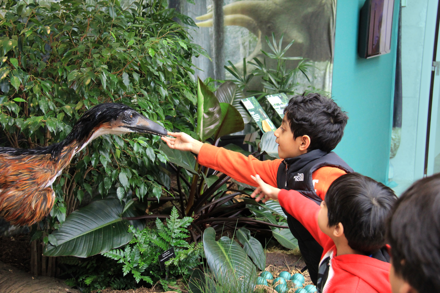 diorama-troodon-kids touching.png
