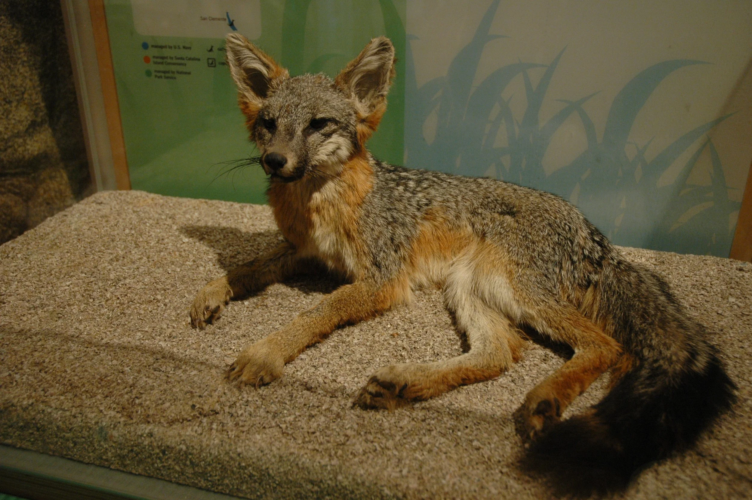 DSC_0072.JPG