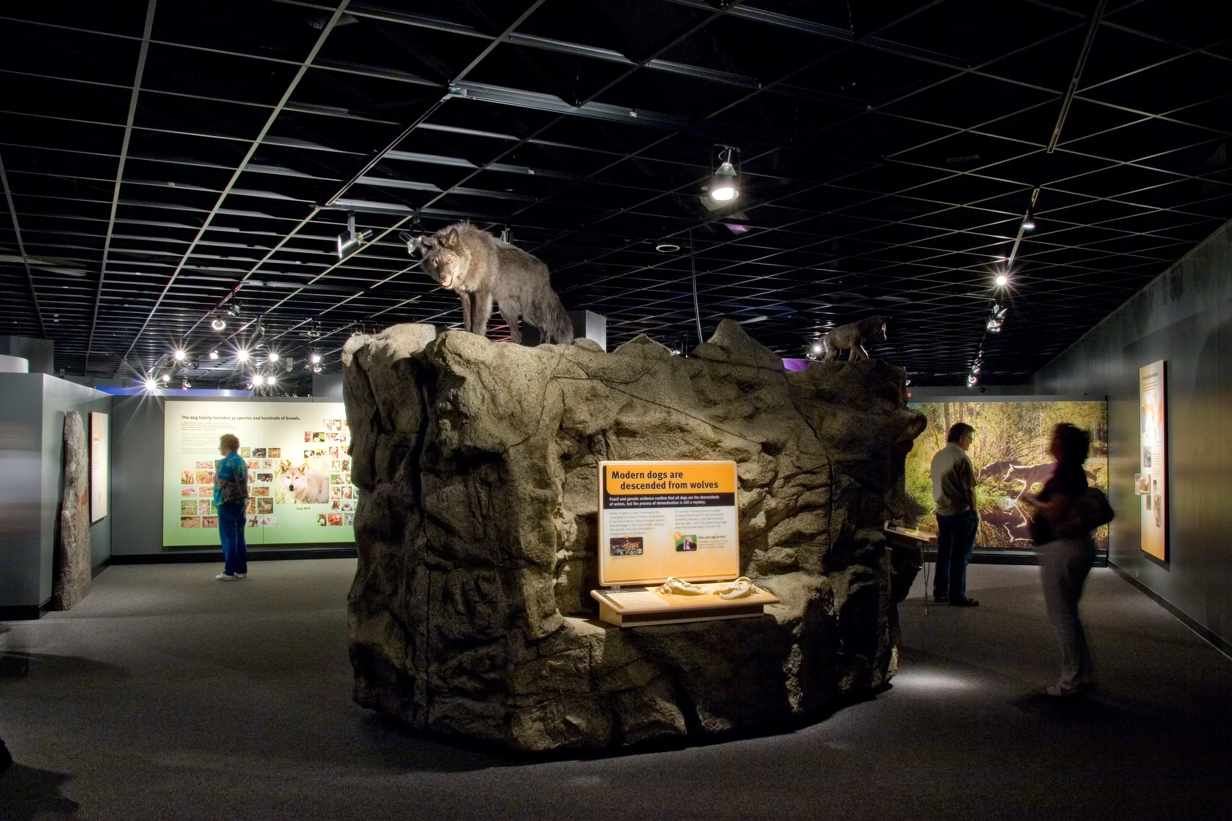 IMG_4573 copy.jpg