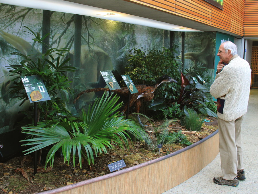 diorama-thoughtful-guy.png