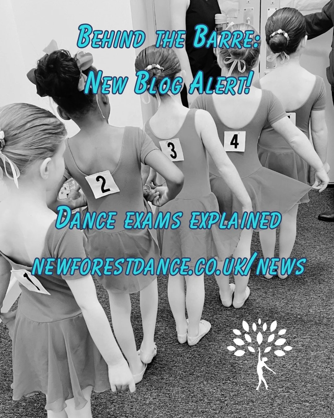 With #RAD and #IDTA exams and presentations coming up in December for some of our students, now is a great time to understand what they actually involve &mdash; and why they&rsquo;re always optional at NFAD.

From Ballet (RAD) to Street, Tap, Modern 