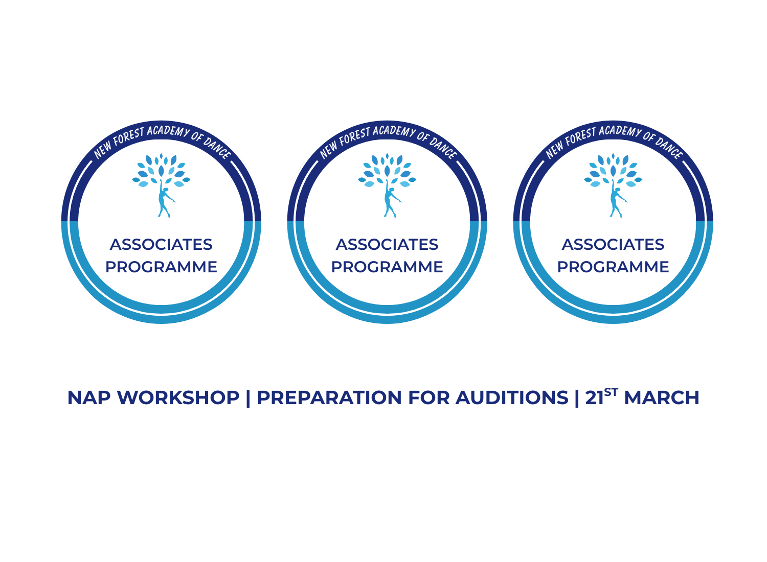 NAP Workshop Graphic