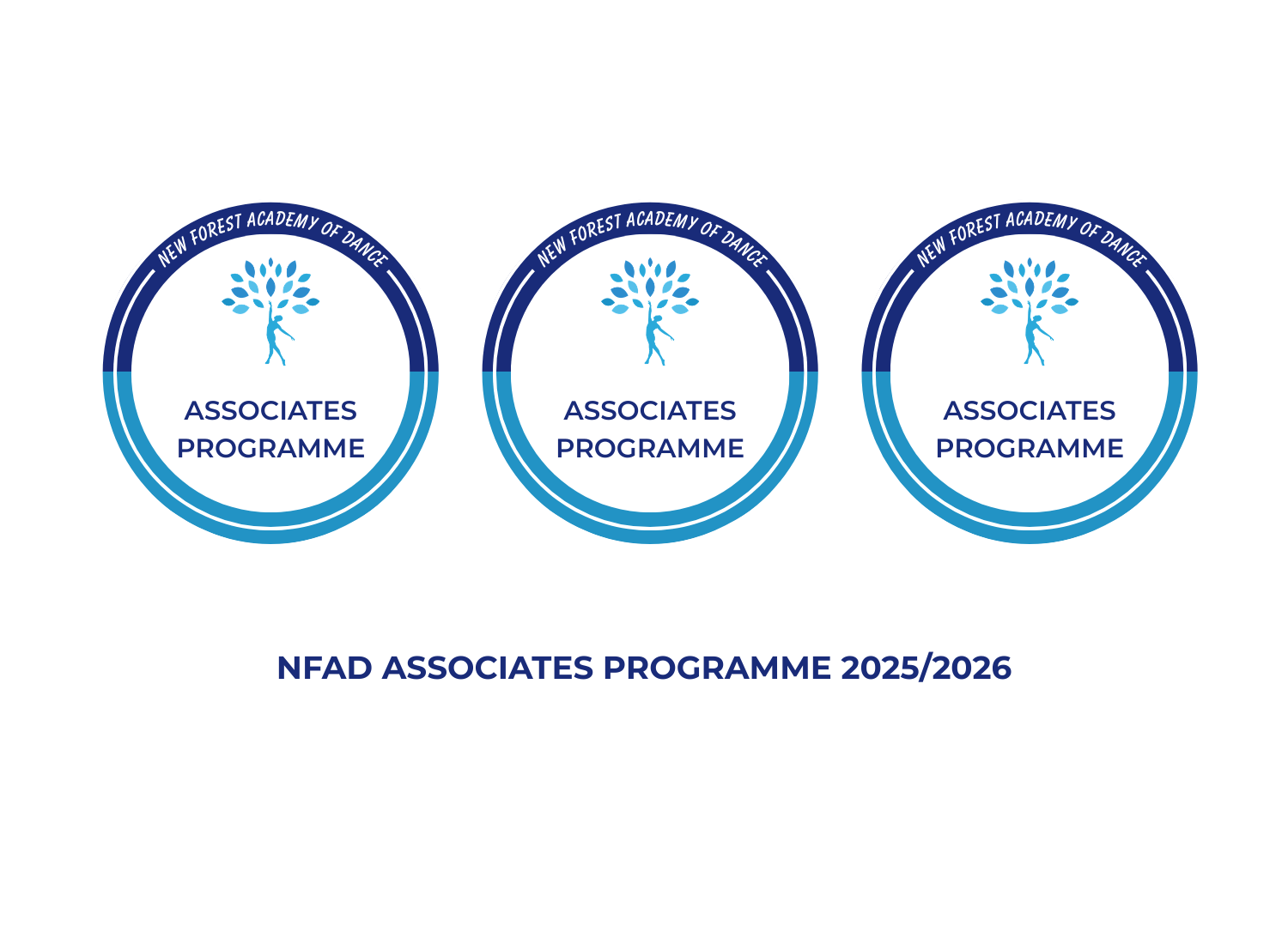 NAP Workshop Graphic