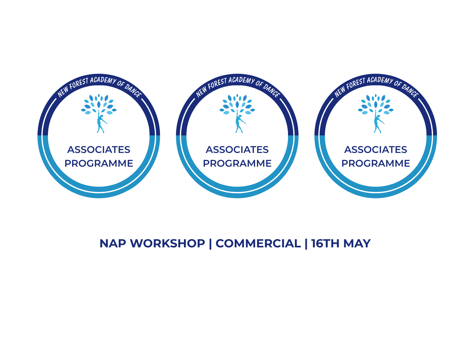NAP Workshop Graphic