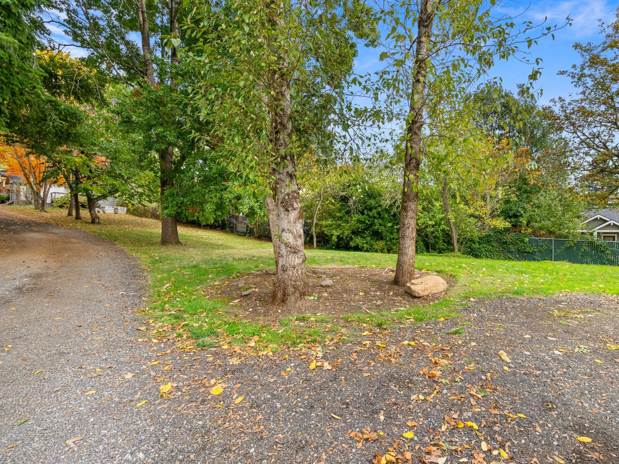 Photo-20 - reshoot 10:22:2025.jpg