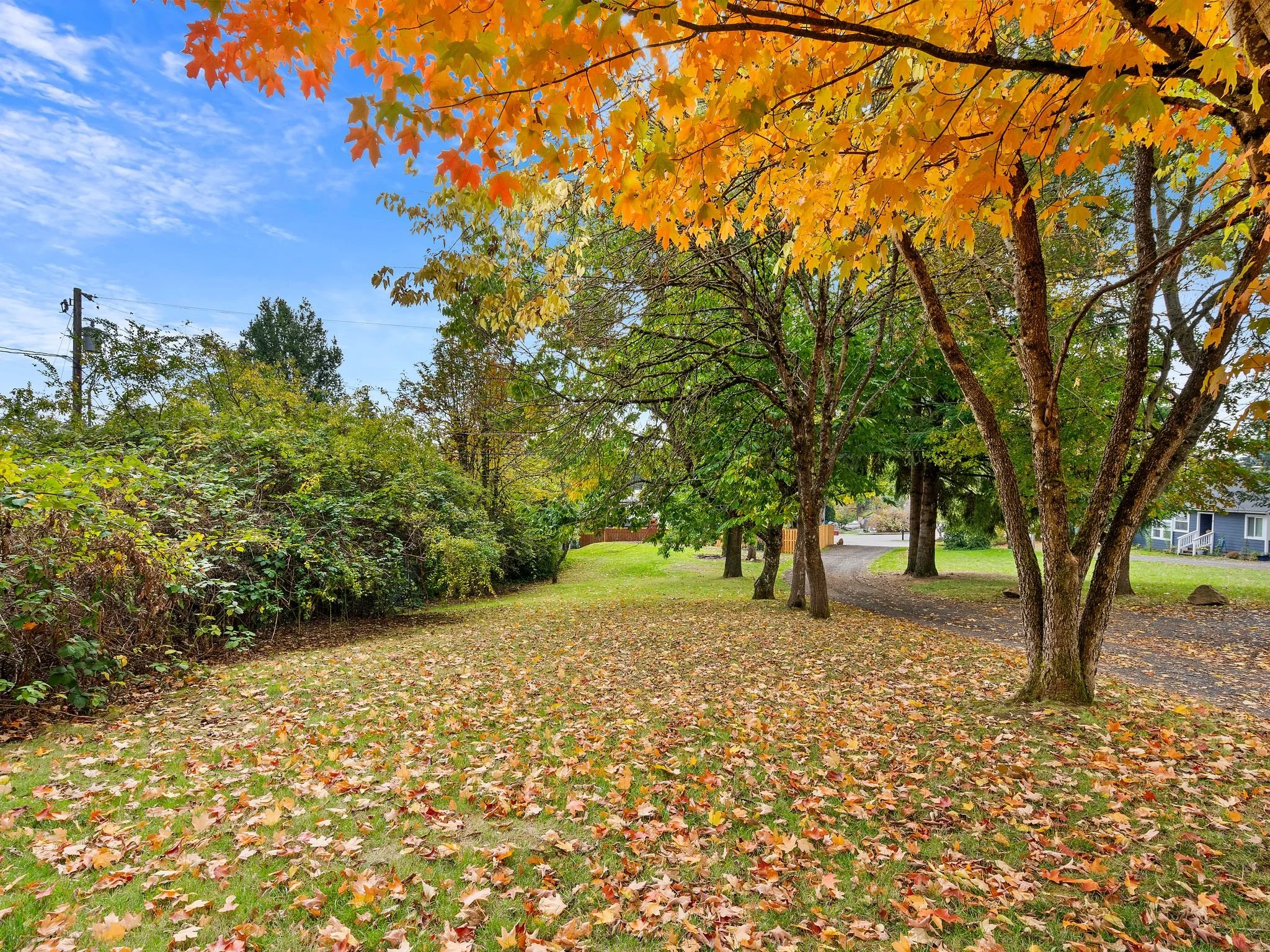 Photo-22 - reshoot 10:22:2025.jpg