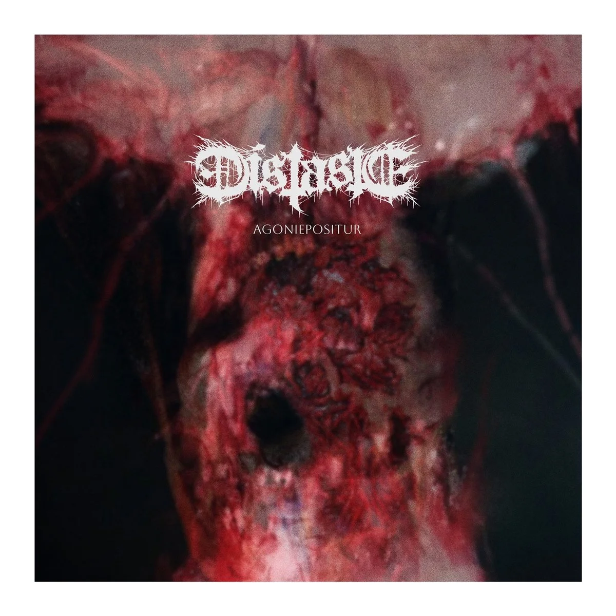 Distaste - Agoniepositur LP