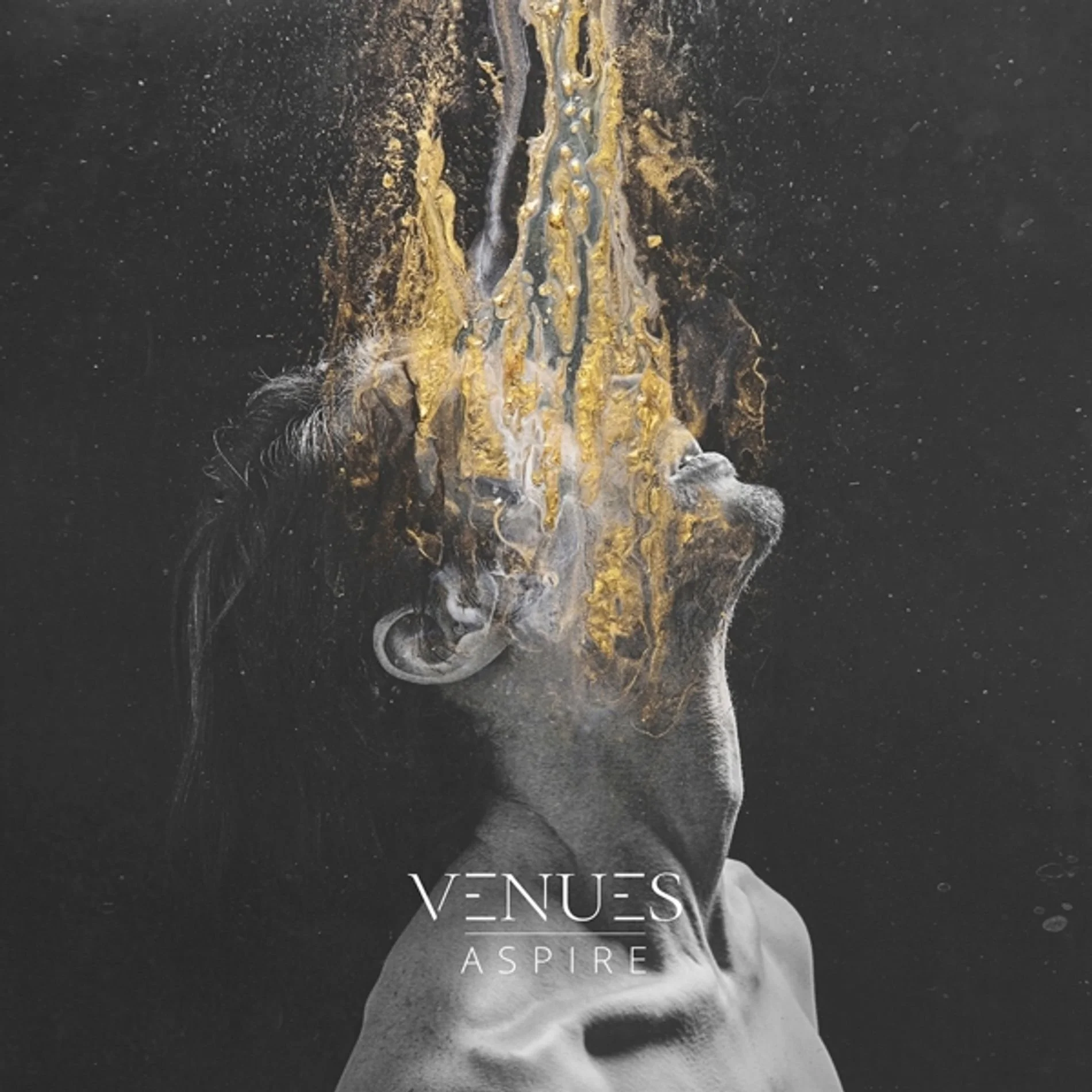 Venues - Aspire (Splatter Vinyl) LP