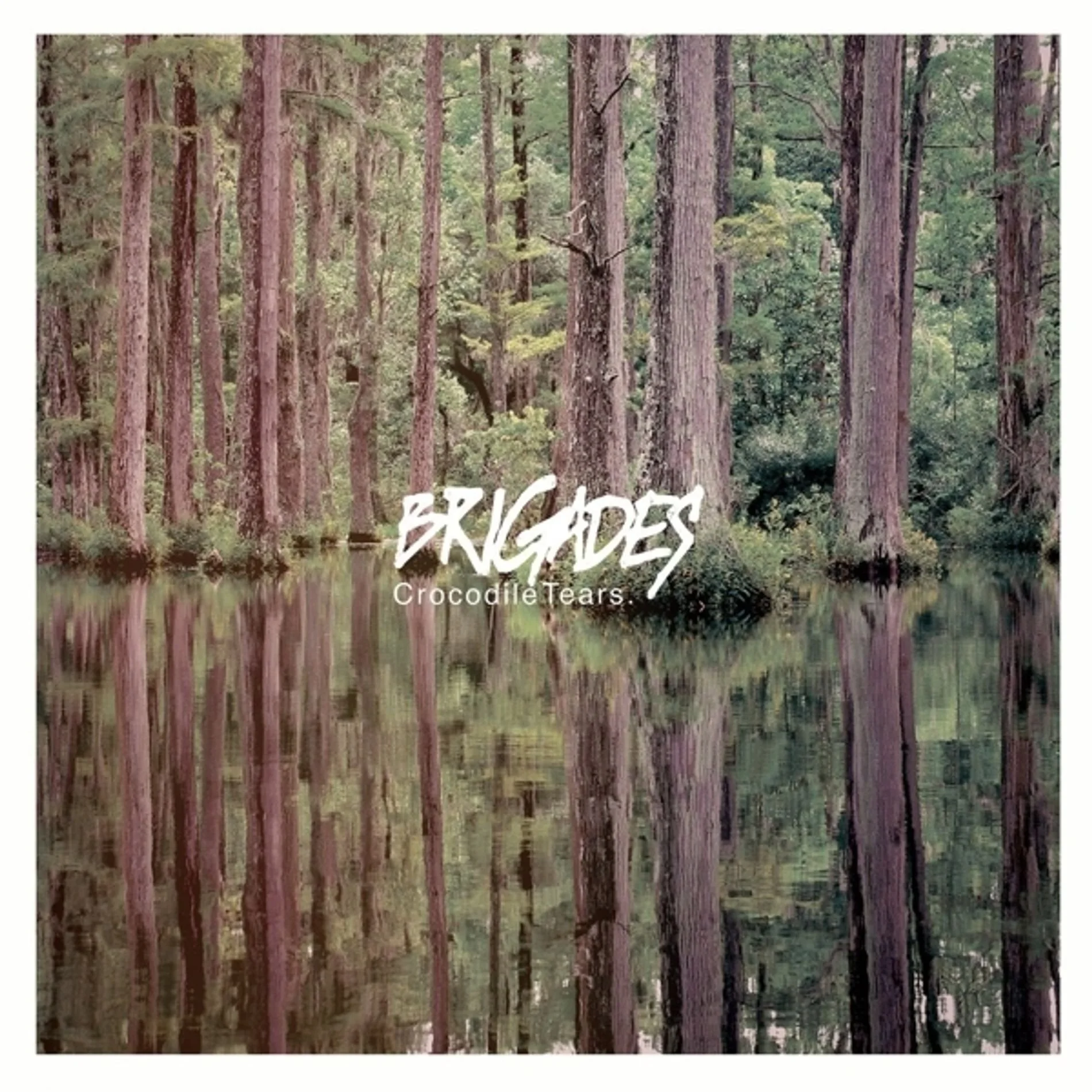 Brigades - Crocodile Tears CD
