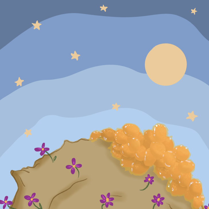 ILLUSTRATION.png
