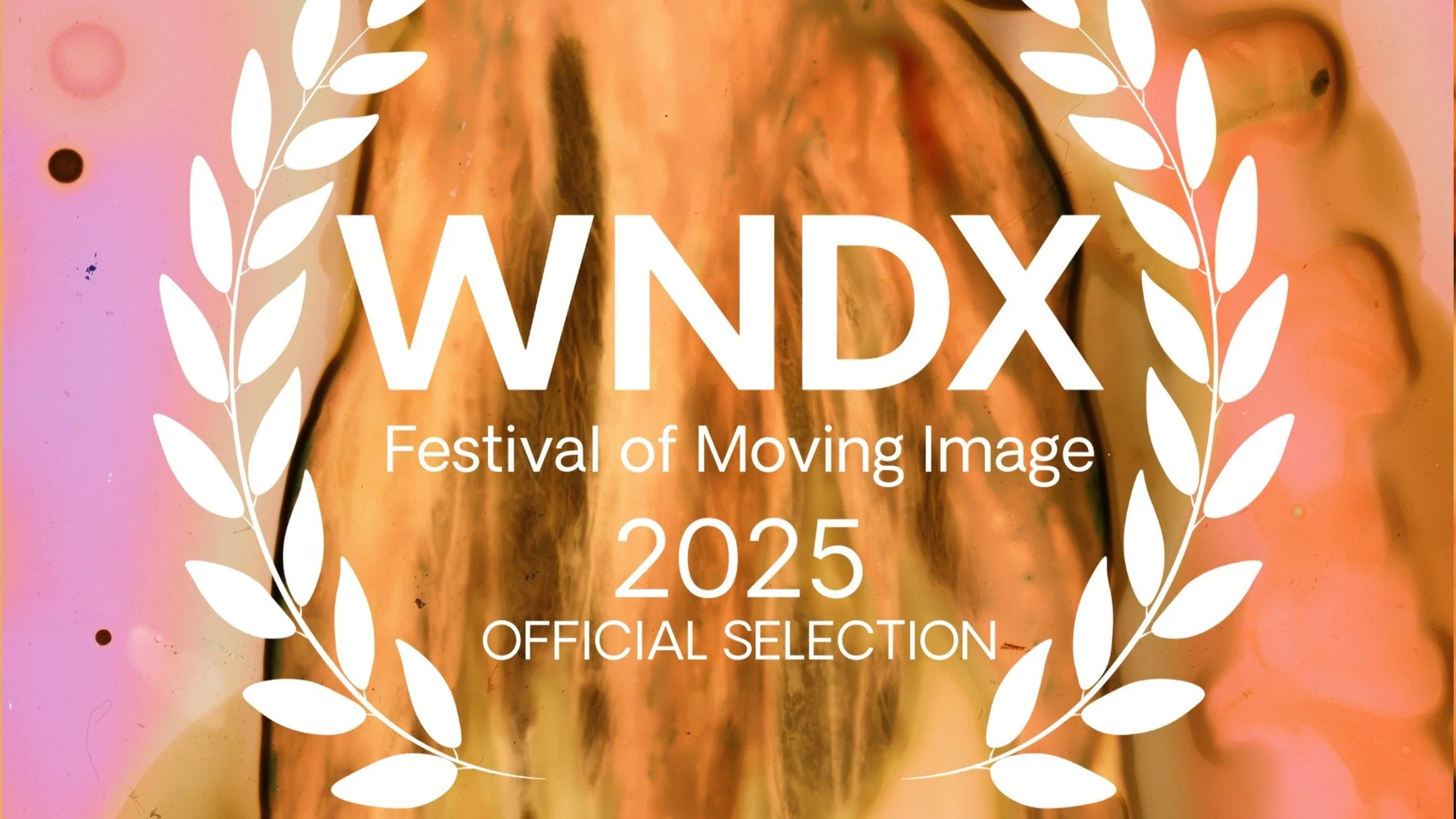diario de verano is going to @wndxfestival and so are we! Hope to see you there! 📽🌱🌺
Sun Oct 5 | 1 PM – Rachel Browne Theatre
diario de verano is programmed in Open Call 5: wndrlnd
wndrlnd is a sensorial experience, mapping a journey