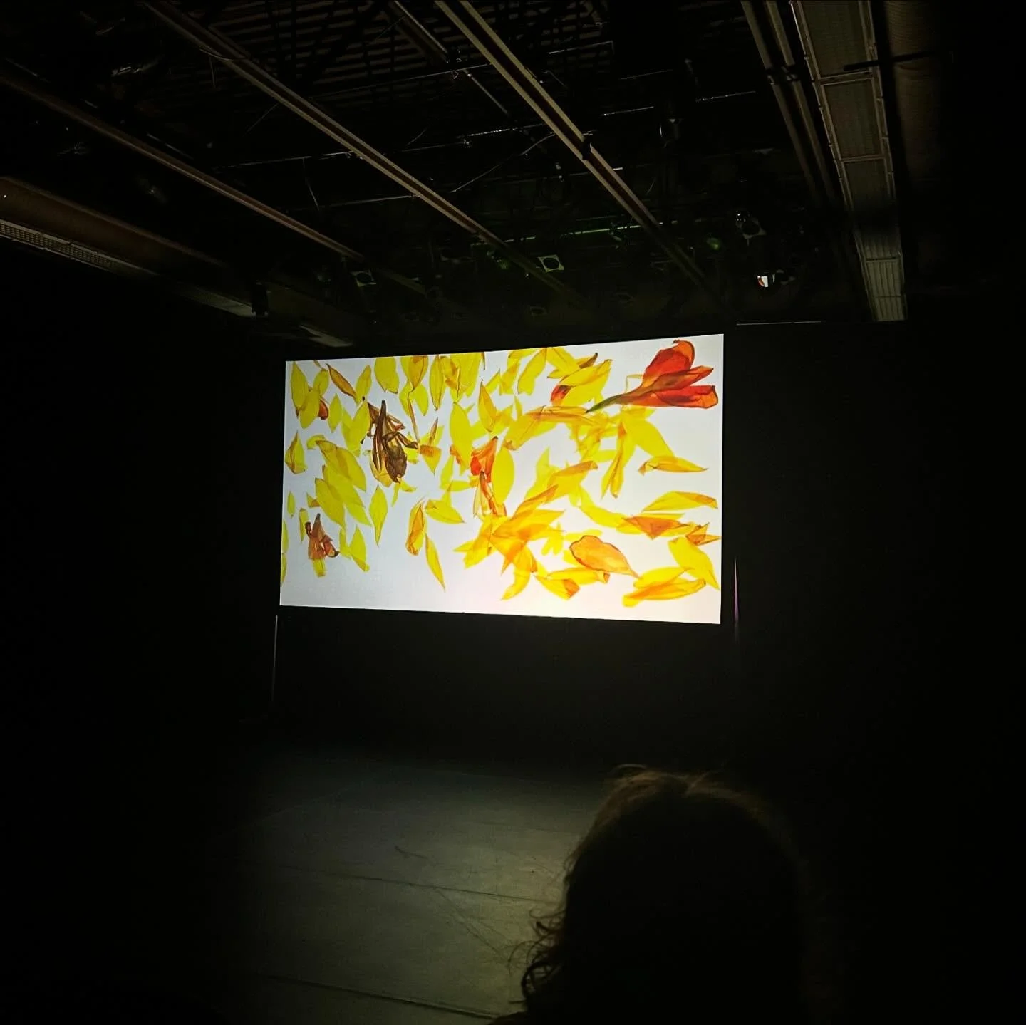 Thank you for a great festival @wndxfestival We are leaving inspired and with hearts full! Grateful for all the amazing filmmakers we had the pleasure of meeting and building new connections with! 🎥 🎞️ 🌱