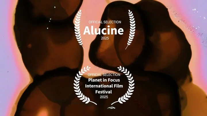Toronto, let’s watch diario de verano together! 🌻 We have two important screenings coming up - aluCine Latin Film + Media Arts Festival and Planet In Focus International Film Festival. ✨🙌🏽🍂
🎥  @alucineto | Oct 18th @9pm @cinecycle.toronto