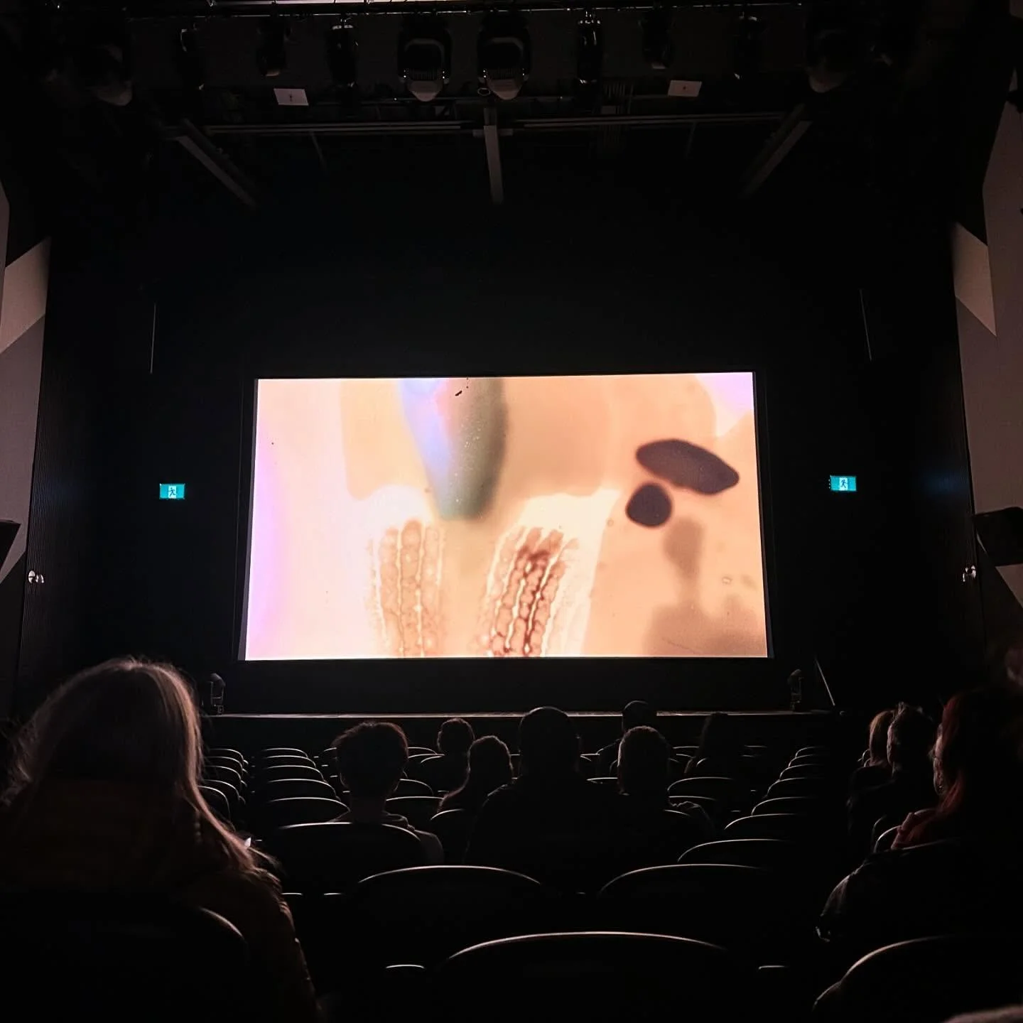 Our hearts are full from our 3 Toronto screenings!🎥🌸💖 Thank you again to @tais_animation @planetinfocus and @alucineto