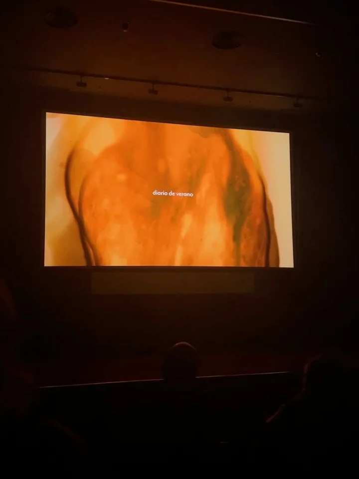 Much&iacute;simas gracias @alternativafest 🎥 🌸 #independentfilm #animation #stopmotion #film #analog #handmade #ecoprocess #texture #natural #organic  #material #womeninfilm #womeninanimation #experimental #abstract #videoart