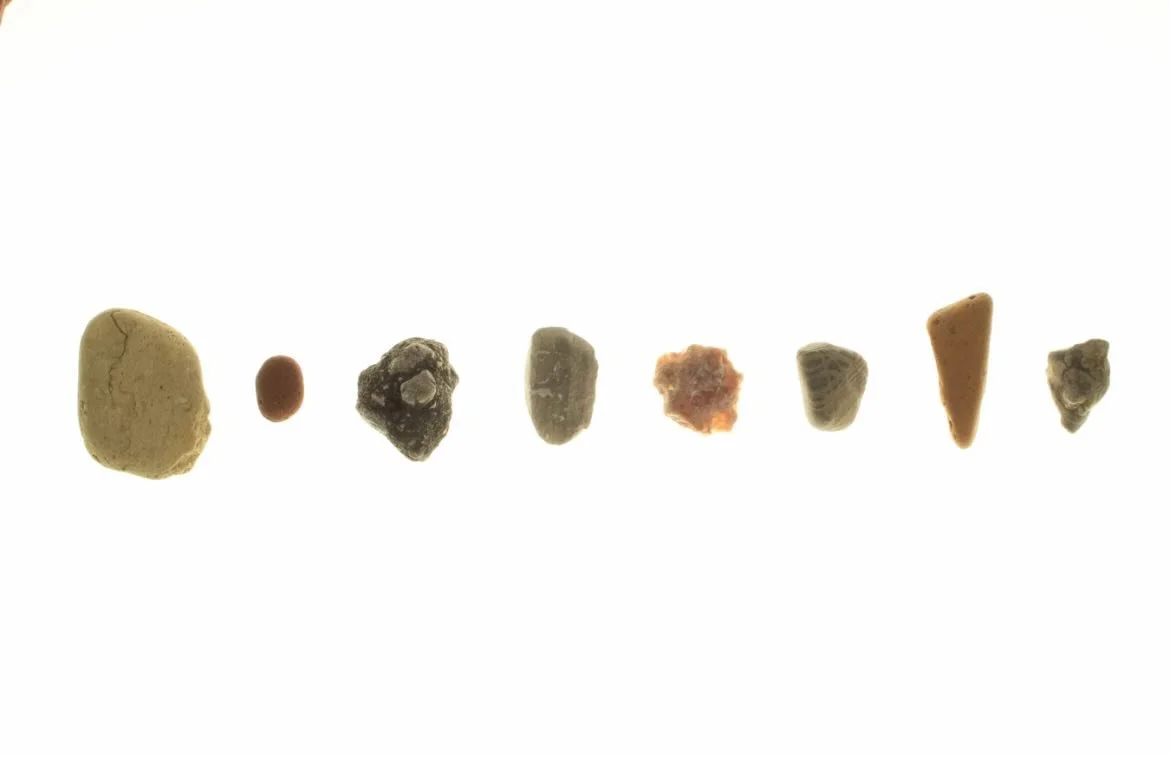 diario de verano&rsquo;s last 2025 screening!  our film will screen in Brussels on Friday, December 5 at Kino Ap&eacute;ro:&nbsp;a program of experimental short animated films on film, @atelier_zorobabel  curated by @shermansophie_ and @adina_im 

ZO