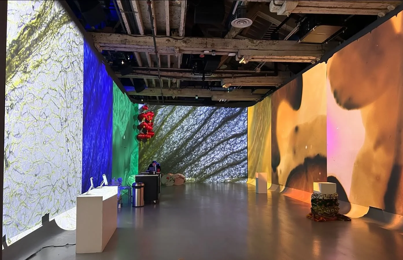 #sneakpeek of diario reimagined for our installation @illuminariumtor as part of @makeroominc and @loveu4evereverever immersive art and music experience on NYE! The night will showcase 10 talented visual artists and 10 DJs from 9pm-3am! 🎥 🌸 🎶 💫 
