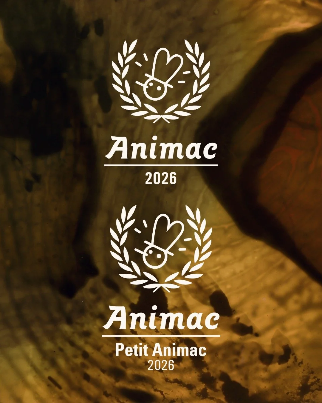 We are delighted to share that diario de verano is screening @animaclleida for Animac 2026! 

We will be included in the Petit Animac 1: Short and Sweet Session aimed towards children audiences. 

Screening soon on February 19-22, 2026 in Lleida (Spa