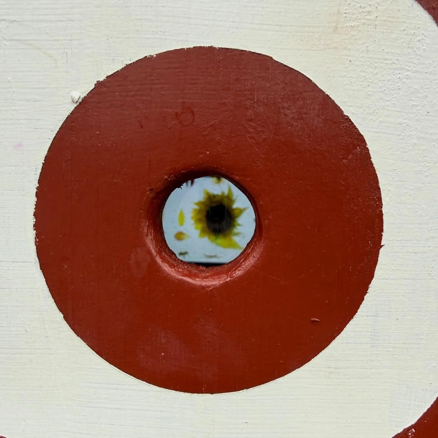 diario de verano screens 24/7 ALL APRIL at @buscollective mini micro-cinema near Wychwood Barns. 📽️🌻🌸💚 ➡️Please DM us for the address!

Thank you @rennie.taylor and @buscollective for programming our film in the coolest and cutest venue in Toront