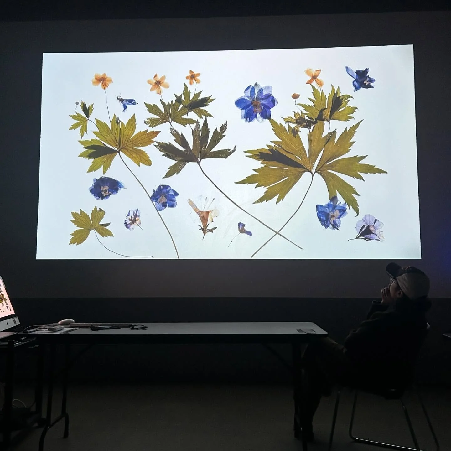 In honour of #earthday here are some frames from our second film in its current form! An interwoven collaboration with both our human and plant communities. We are so very grateful for both! 🌎🌱✨

Thank you to the @torontoartscouncil for the generou