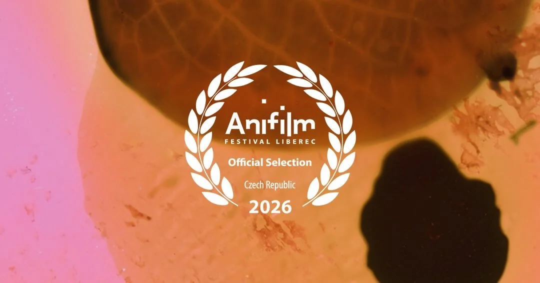 🌻 diario de verano screens as part of the Abstract and Non Narrative competition program at this years @anifilmfestival May 5th - 10th. We are thrilled to be screening alongside some awesome films and fellow animators! 🎥✨🌻