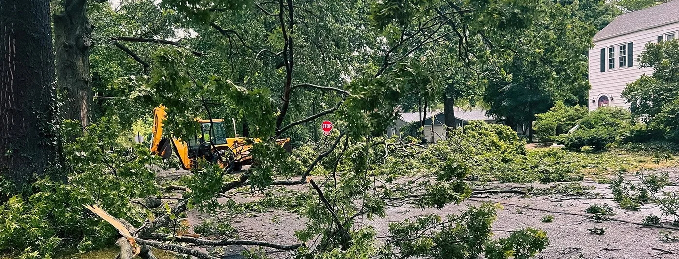 storm damage cleanup